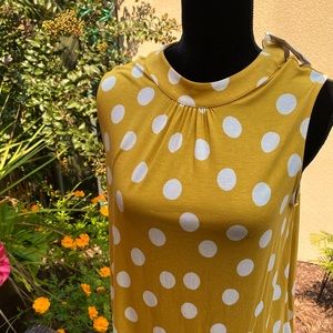 Boden pika dot top